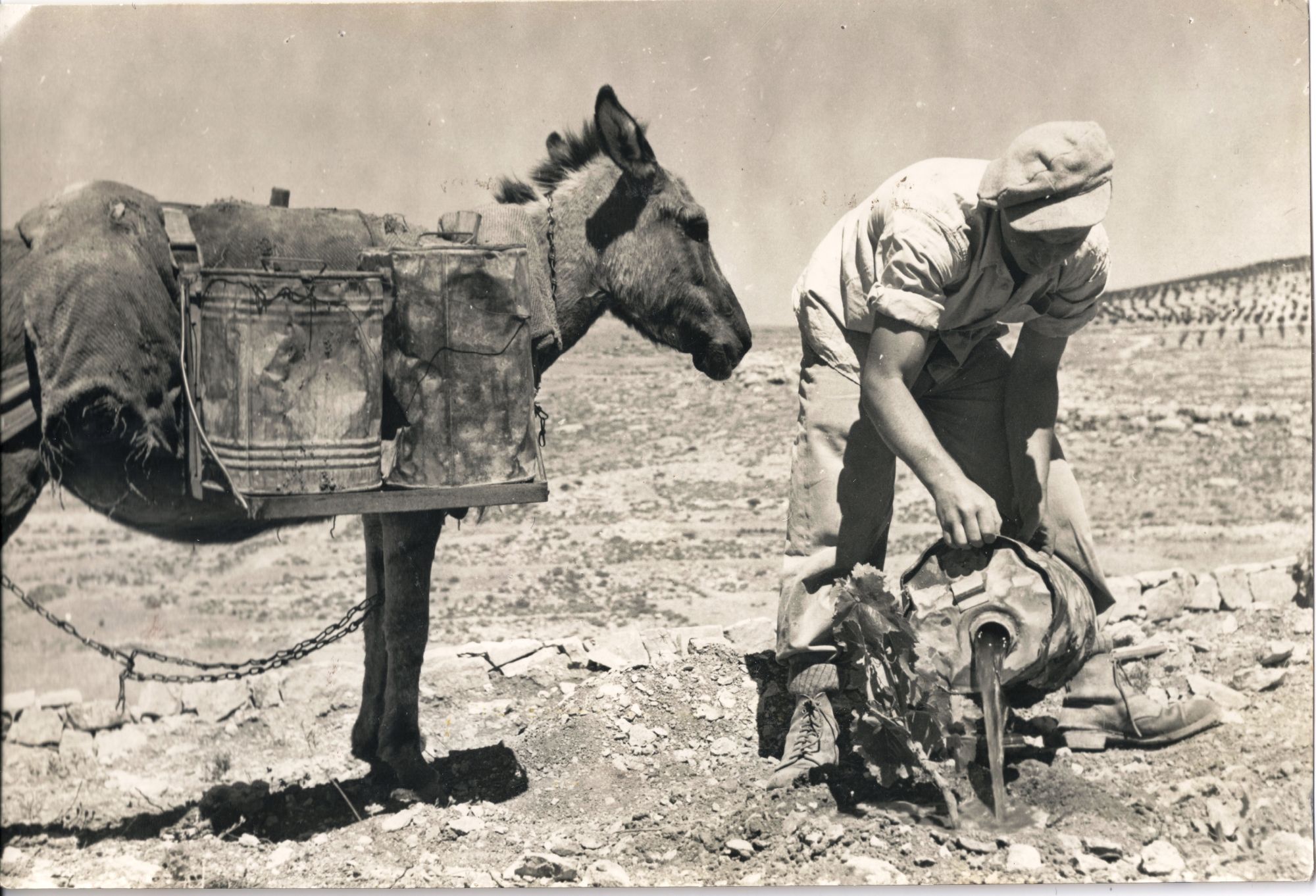 7-השקיה במטעים_20200722131632.157.jpg